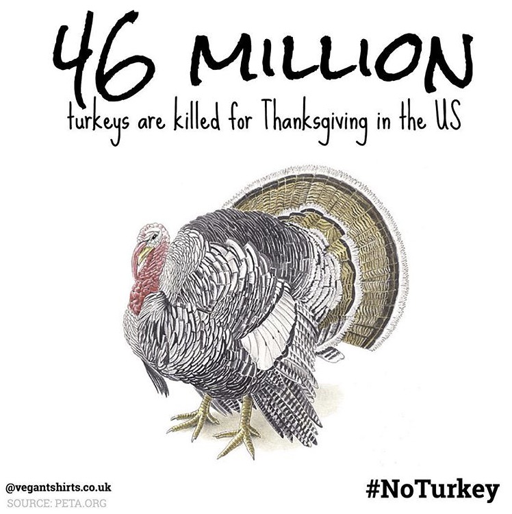 no turkey